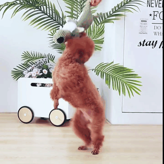 BarkBuddy Chew Pal